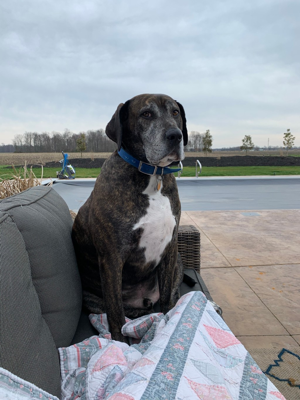 March 26, 2020 Day&nbsp;#13