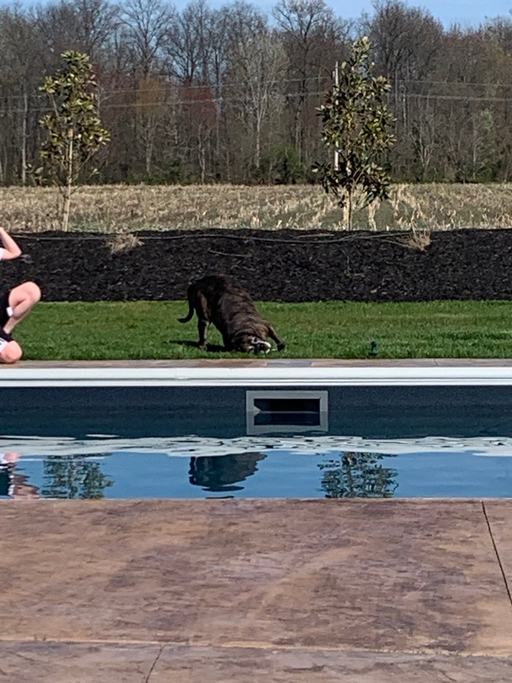 April 2, 2020 Day&nbsp;#20