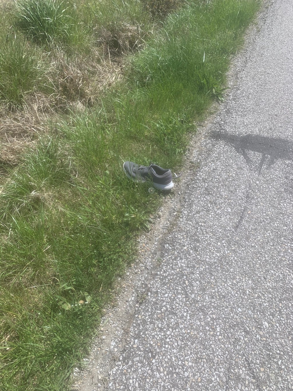 April 20, 2020 Day&nbsp;#38