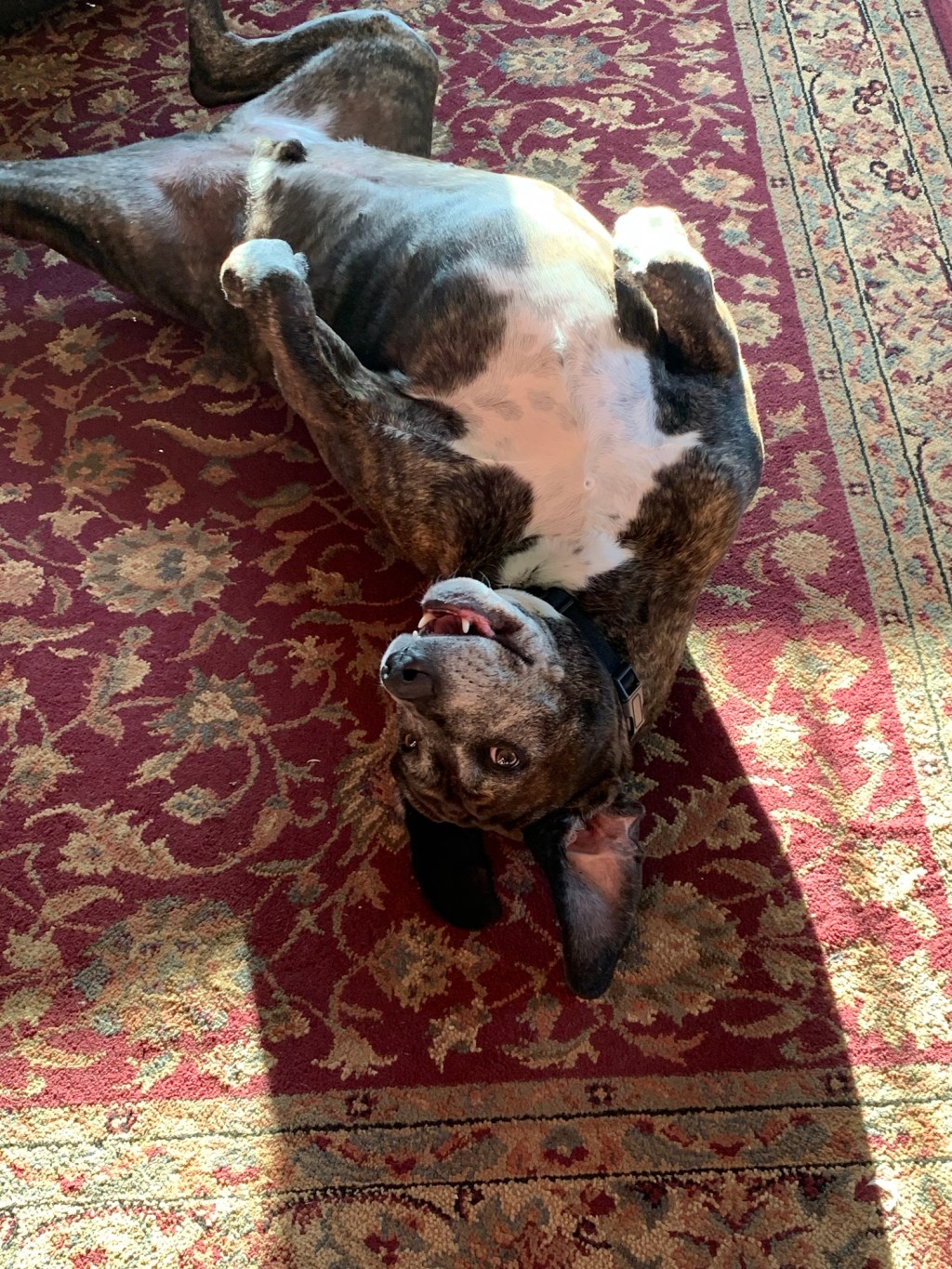 April 21, 2020 Day&nbsp;#39