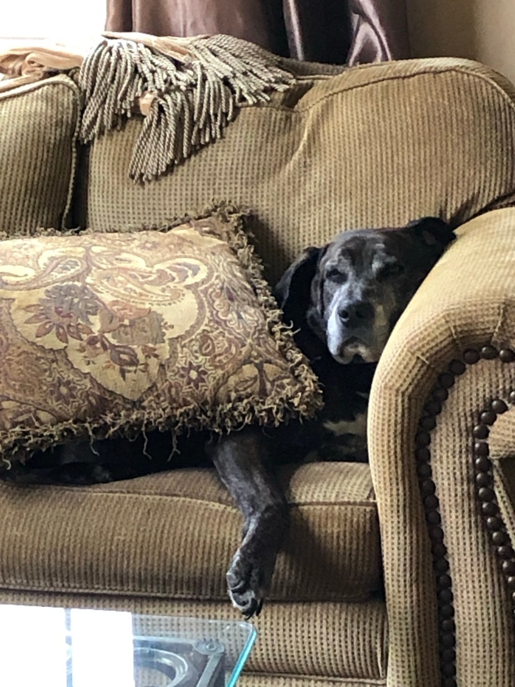 April 23, 2020 Day&nbsp;#41